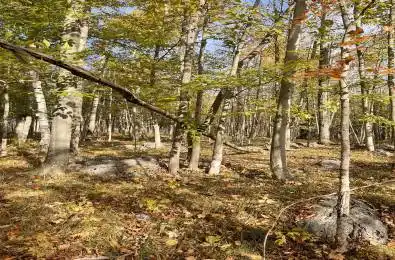 Marlbank Rd N/A Tweed Ontario K0K 3J0