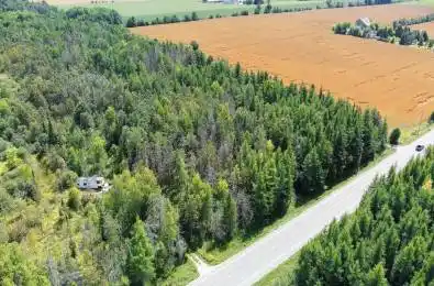 Lot 31 9 County Road Melancthon Ontario N0C 1B0