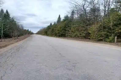 382309 Concession 17 N/A South Bruce Peninsula Ontario N0H 2T0