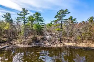 3320 1040 Georgn Bay N/A Georgian Bay Ontario P0E 1E0