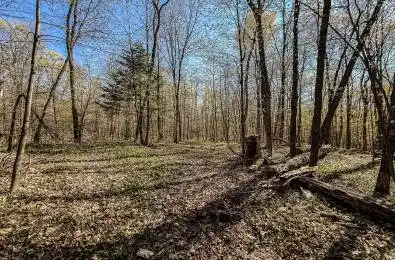 2494 Hadlington Road Highlands East Ontario K0L 3K0