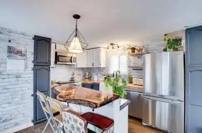 241 St. Paul Street Unit# 297 St. Catharines Ontario L2S 2E5