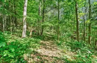 Shelter Valley (Part 1) Road Alnwick/Haldimand Ontario K0K 2G0