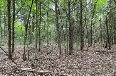 1335 JOHN F. SCOTT Road Kingston Ontario K7L 4V3