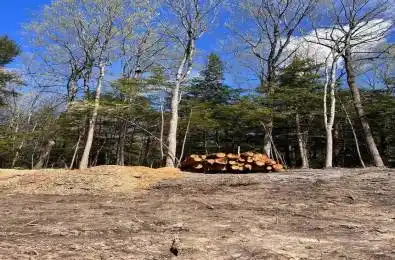 Lot Syer Line Cavan Monaghan Ontario L0A 1A0