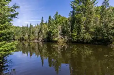 1880 Boldts Lane Minden Hills Ontario K0M 2A1