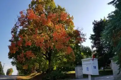 18 Mccowan Lane Whitchurch-Stouffville Ontario L4A 7X5