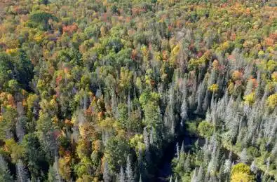 PT LT 5 Con 14 South Horn Lake Road Armour Ontario P0A 1C0