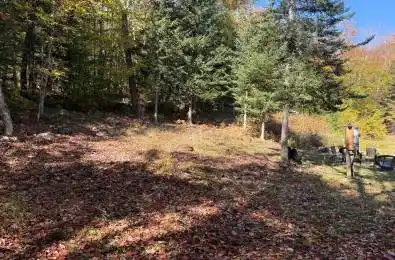 1118 Stoney Road Ryerson Ontario P0A 1C0