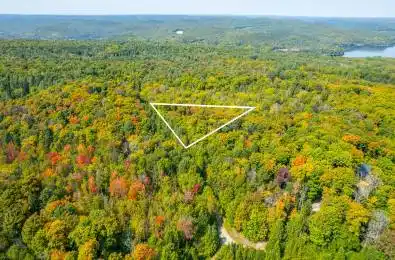 LOT 49 BASSHAUNT LAKE Road Dysart et al Ontario K0M 1M0