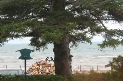 9 LAKESHORE Boulevard South Bruce Peninsula Ontario N0H 2G0