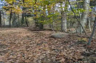 118 Highway Bracebridge Ontario P1L 1X1