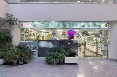 222 Spadina Avenue Unit# 26 Toronto C01 Ontario M5T 3B3