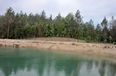 395594 CONCESSION ROAD 2 N/A Chatsworth Ontario N0H 2V0