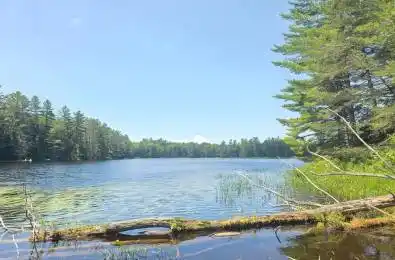 1134 Walkers Line Road Algonquin Highlands Ontario K0M 1S0