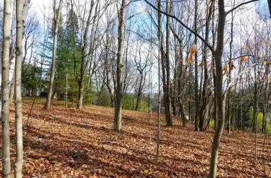 8 Rice Lane Huntsville Ontario P1H 1V4