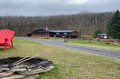 421 Peggs Mountain Road Ryerson Ontario P0A 1C0