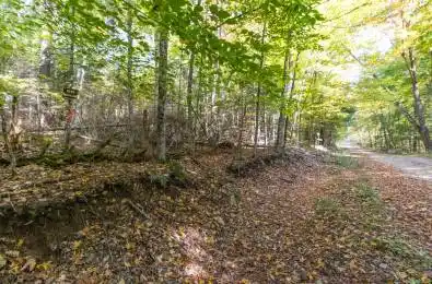 0 Lynx Lake Road Huntsville Ontario P1H 2J3