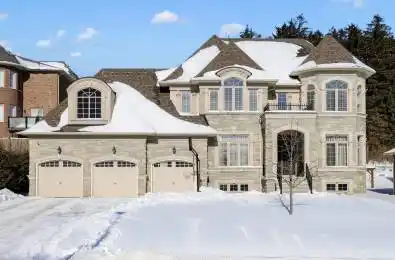 99 Coon's Road Richmond Hill Ontario L4E 2R4