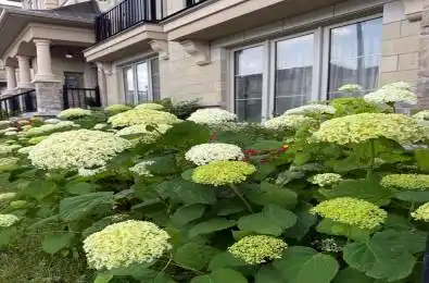 87 Grand Trunk Avenue Vaughan Ontario L6A 5B3